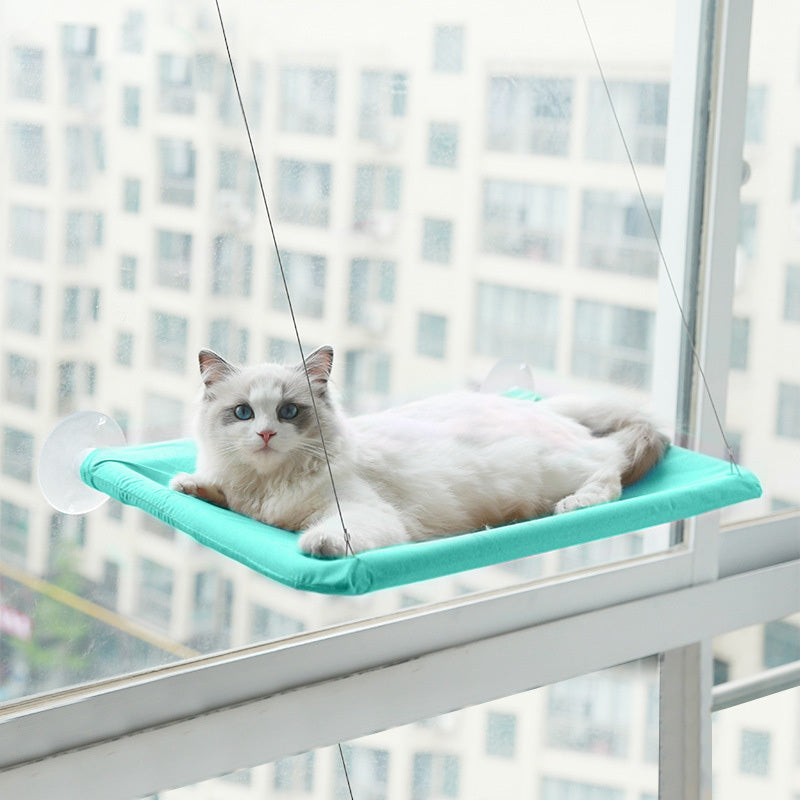 White cat resting on a turquoise hanging cat window hammock attached to a window with suction cups in an urban apartment setting