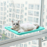 White cat resting on a turquoise hanging cat window hammock attached to a window with suction cups in an urban apartment setting