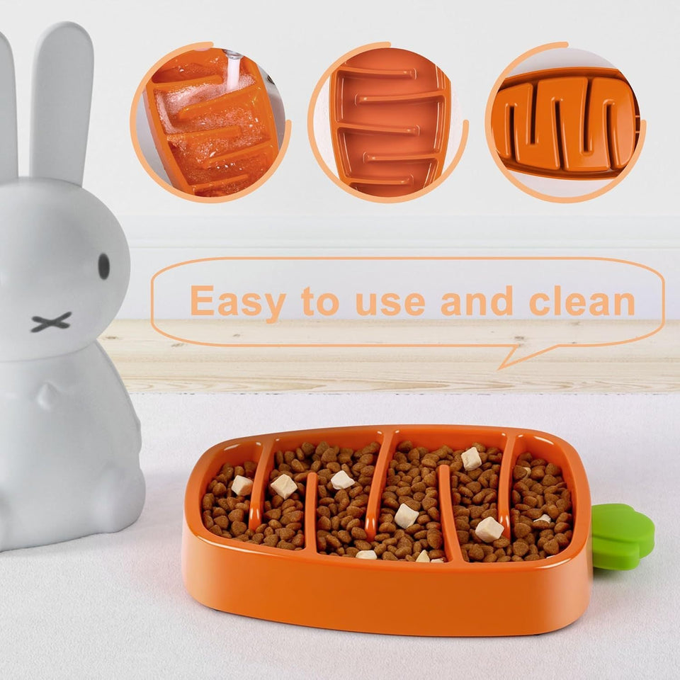 Slow Feeder Dog Bowl