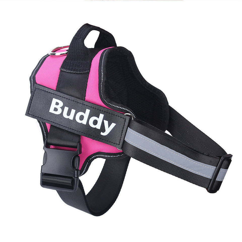 Pink no-pull dog harness with adjustable straps, reflective strips, and personalized name patch Buddy.