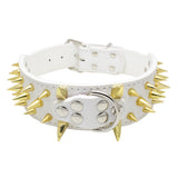 Large Bite-Proof Pet Collar