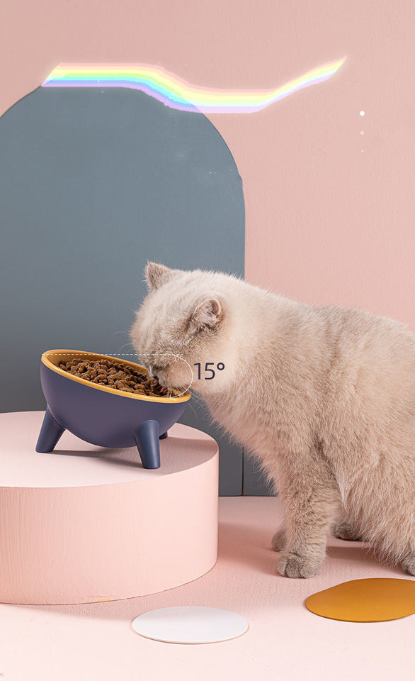 The Super Durable Tilted Bowl That Keeps Pets Healthy & Happy!