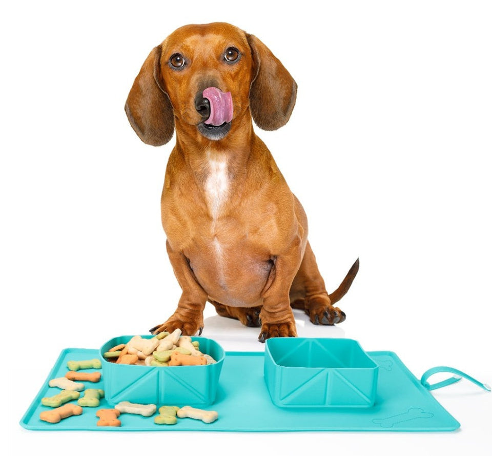 Dogs Puppy BowlsAmalgamite Pets My StoreCatOverview:
 
 1. 100% new and high quality.
 
 2. Made from high quality silicone.
 
 3. Easy storage and transportation simply jump and fold.
 
 4. Suitable for mediDogs Puppy Bowls  Silicone Bowls