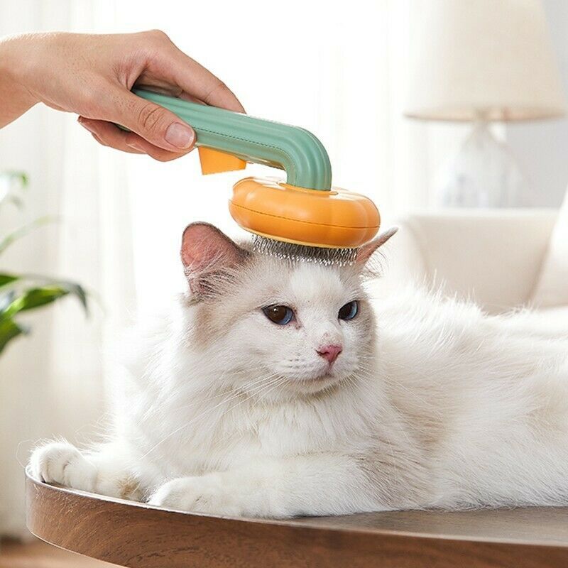 Slick cat hair brush