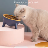 The Super Durable Tilted Bowl That Keeps Pets Healthy & Happy!