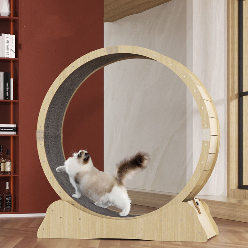 Indoor CatsAmalgamite Pets My StoreCat🏃♂️ Keep Your Cat Active &amp; Healthy with Our Silent Running Wheel – The Purr-fect Indoor Fitness Solution!
Is your kitty bouncing off the walls? Give them a safePremium Eco-Friendly Treadmill for Indoor Cats