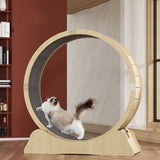 Indoor CatsAmalgamite Pets My StoreCat🏃♂️ Keep Your Cat Active &amp; Healthy with Our Silent Running Wheel – The Purr-fect Indoor Fitness Solution!
Is your kitty bouncing off the walls? Give them a safePremium Eco-Friendly Treadmill for Indoor Cats