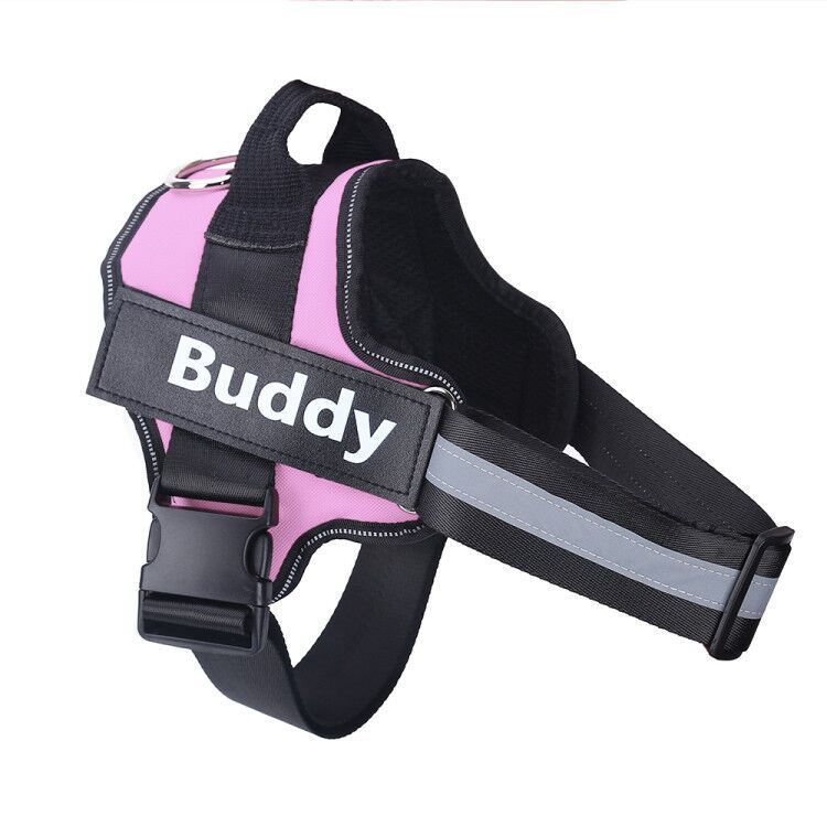 Adjustable pink no-pull dog harness with reflective strips and personalized name patch "Buddy"