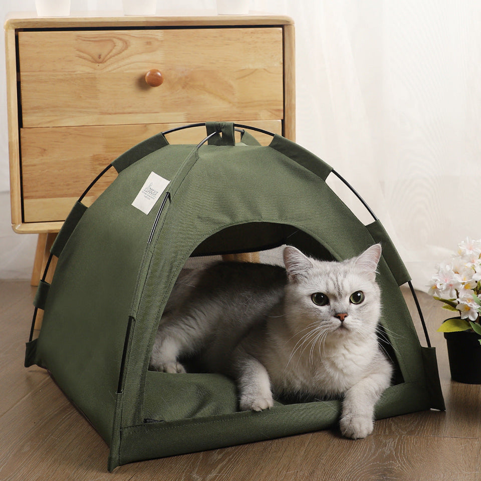 Portable cat tent in military green with a gray cat resting inside on a wooden floor near furniture and plants