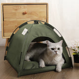 Portable cat tent in military green with a gray cat resting inside on a wooden floor near furniture and plants
