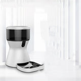 Quantitative automatic feeding device
