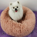 Luxury Round Pet Bed for Small Dogs & Cats – Plush Donut