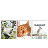 Hanging cat window hammock with sturdy frame for feline sunbathing and birdwatching, space-saving perch for windows or walls, supports up to 25 lbs.