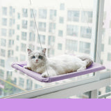 White cat lounging on a purple hanging cat window hammock attached to a window with suction cups for birdwatching and sunbathing