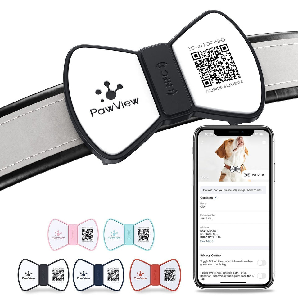 NFC Smart QR Code Pet ID Tag silicone bowknot design on dog collar with smartphone showing contact info for pet safety