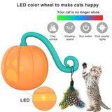 Electric cat pet toy shaped like a pumpkin with LED lights, vibrating sound, clap control, and colorful feathers for interactive play.