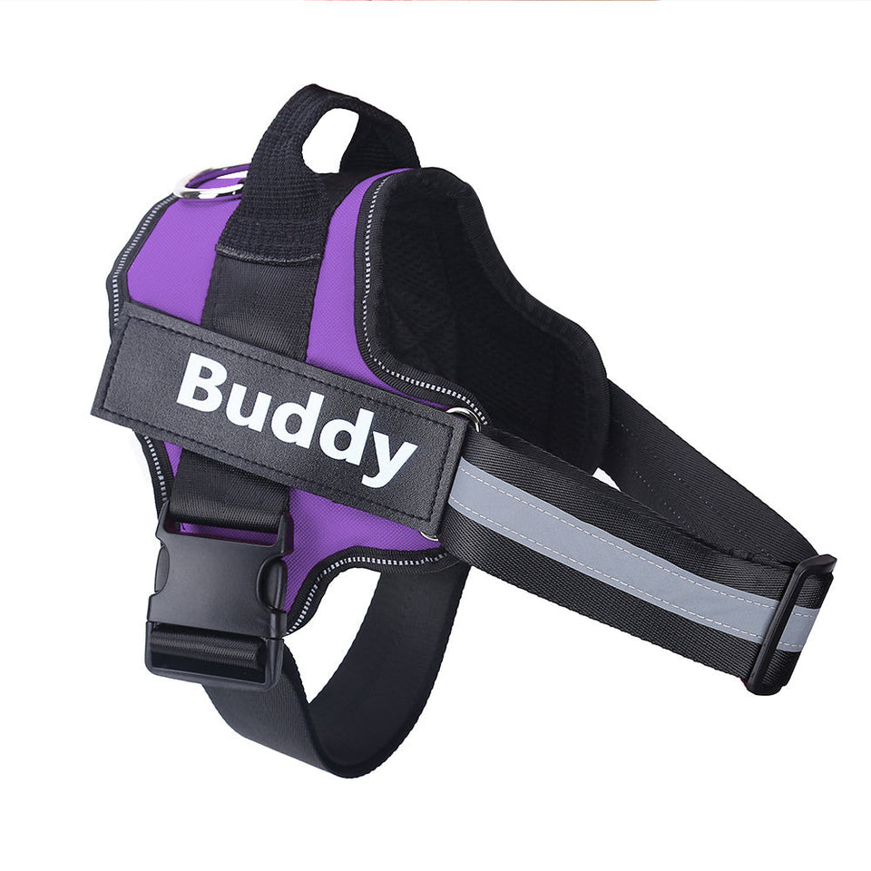 Reflective purple no-pull dog harness with adjustable straps and personalized name patch "Buddy"