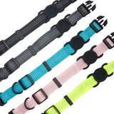 Sleek Collar with Hidden AirTag Slot for 24/7 Peace of Mind!