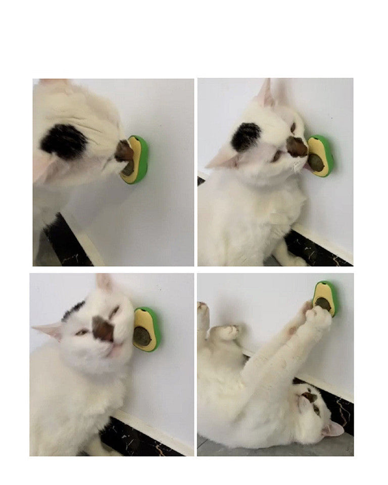 Avocado Catnip Toy – 360° Rotating Self-Cleaning Mint Ball for Cats.