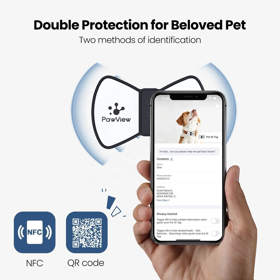 NFC Smart QR Code Pet ID Tag in silicone with bowknot design, durable and lightweight for dogs and cats, showing smartphone scanning pet contact info.